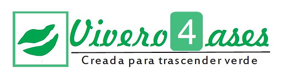 VIVERO4ASESWIX.JPG