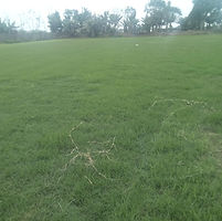 B3.jpg