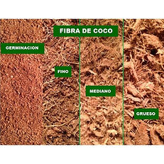 fibra de coco.jpg