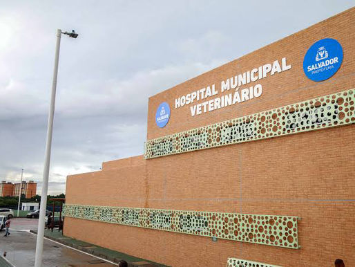 Público aprova atendimento para esporotricose em consultório especializado no Hospital Municipal Veterinário