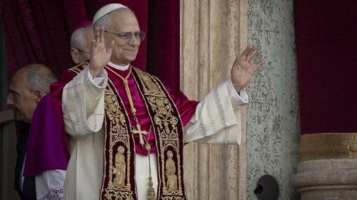 Papa Leão celebra um ano de pontificado