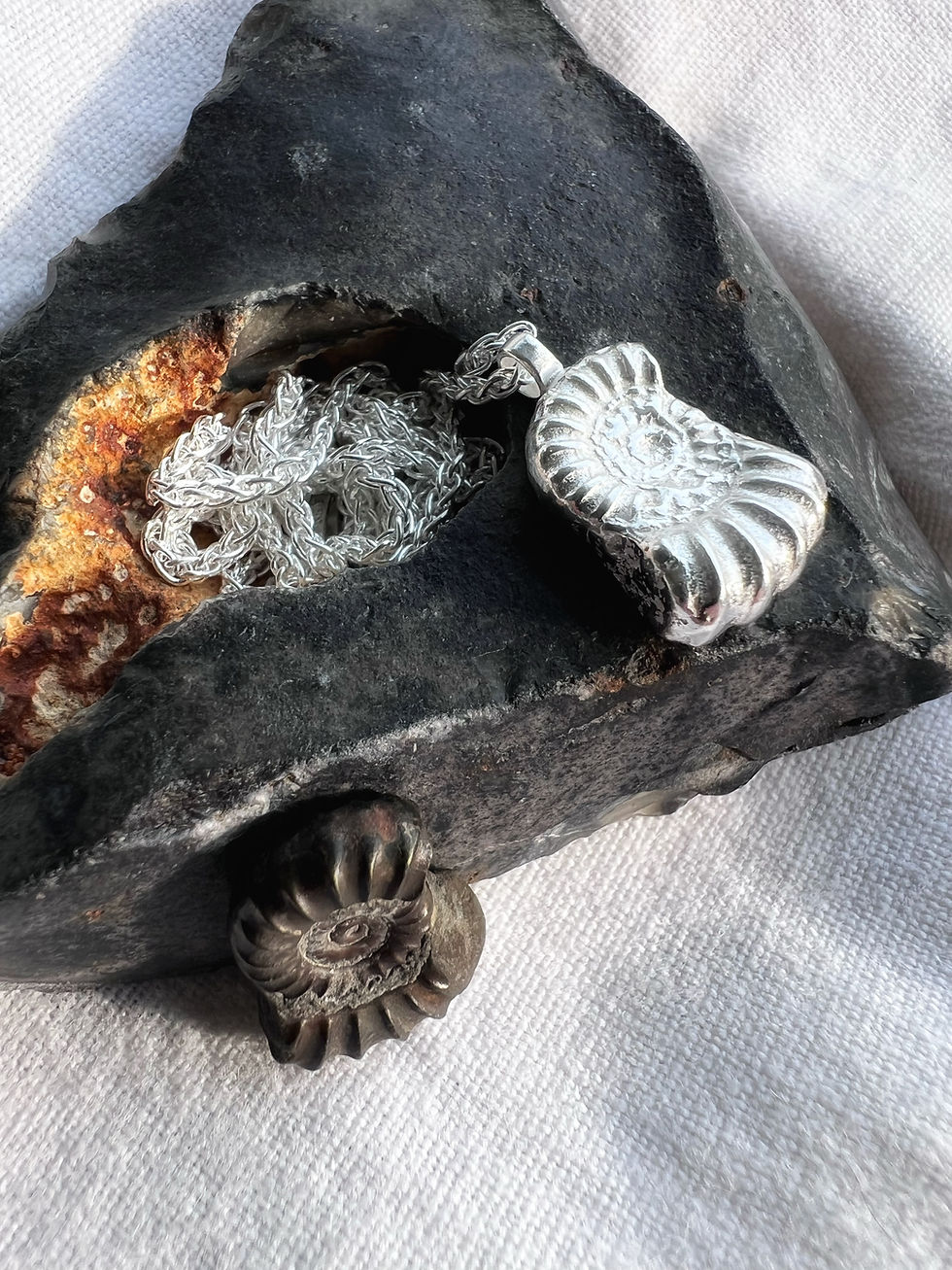 Thumbnail: Silver found fossil