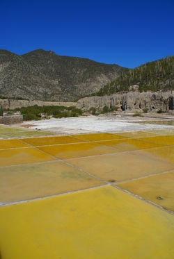 Zapotitlán Salinas , Puebla
