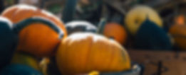 Pumpkins