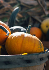 Pumpkins