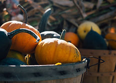 Pumpkins