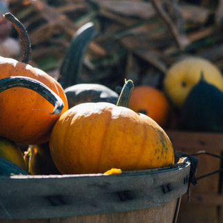 Légumes d’automne : un festival de couleurs et de bienfaits !