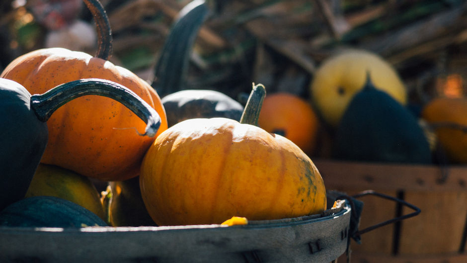Fall Back into Your Favorite Meals