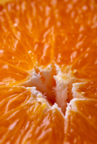 Copy of ALFO Kaledos_19_FINAL.jpg