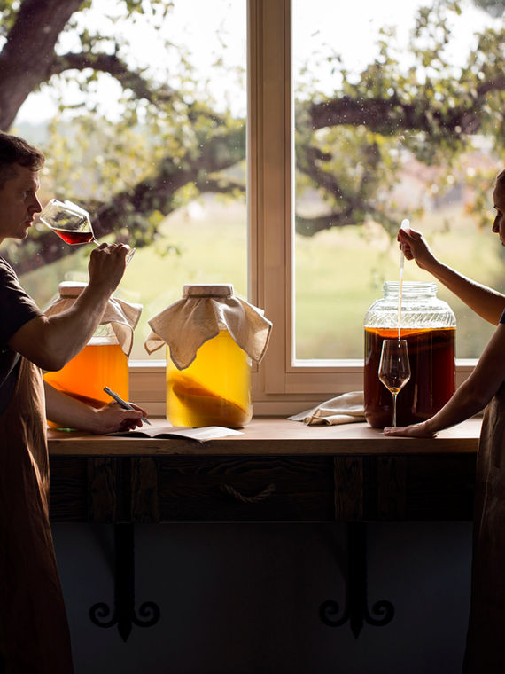 malvina_visuals_acala