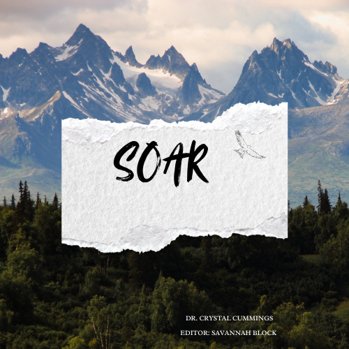 Soar: A Guide to Mental Health Support and Suicide Prevention