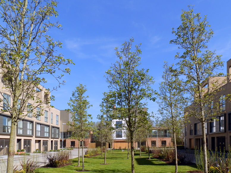 Long road, image 12_park summer ret.jpg