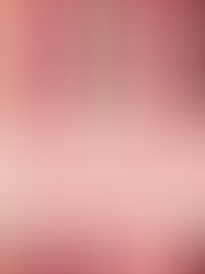 March - Women's History Month Biblical Leaders in the New Testament