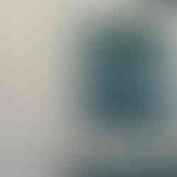 Katherine Murray, Australian Gums on Display