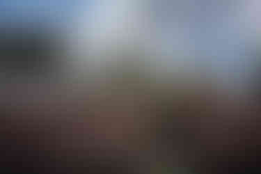 Bride and groom wedding portraits in artistic garden at Casa Adela, San Miguel de Allende