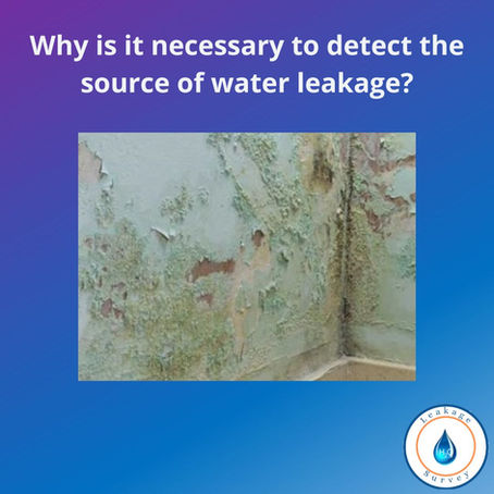 Why is it necessary to detect the source of water leakage?