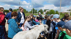 DSCN0524