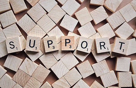 speech therapy support IEP image.jpg