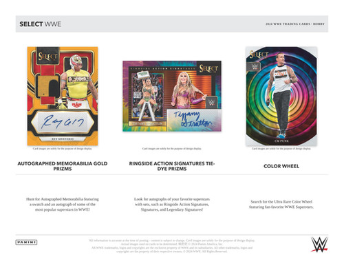 プロレス WWE 2024 PANINI SELECT HOBBY box #PANINI #WWE #プロレス 