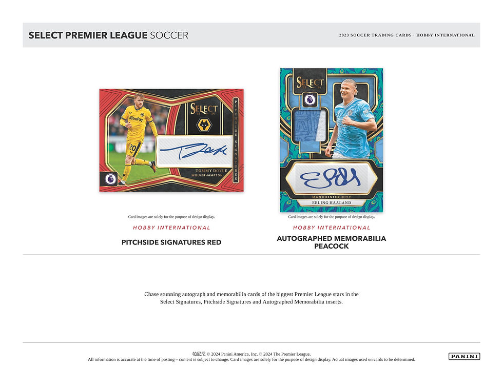 SOCCER 2023-24 PANINI SELECT PREMIER LEAGUE International