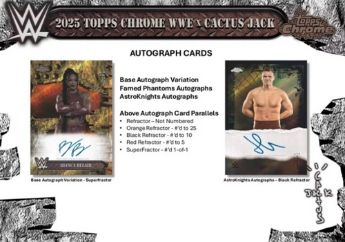 ドジ郎】 WWE カクタスジャック&テリー2体セット 2025 Topps WWE