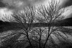 _DSC2653 acopy