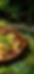 牛肝菌牛肉拌饭.png