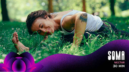 Nourishing Nectar Practice