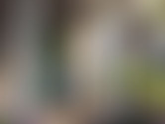 Is Downsizing in the Bay Area Still Worth It in 2026?