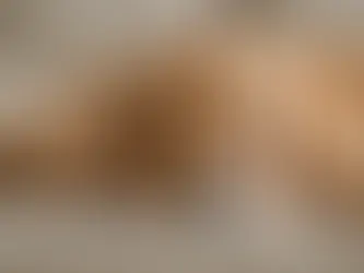 Skylar's Final Litter Was Born 02/10/25