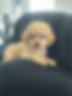 Tot on “couch” .jpg