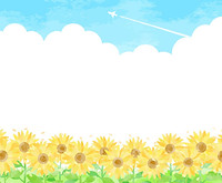 夏のひまわり