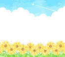 夏のひまわり