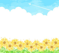 夏のひまわり