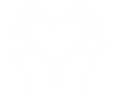 Line Art support_TPMF.png