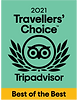 TC_2021_BOTB_LL_GREEN_BG_CMYK-01.png