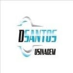 Logo DSantos.jpg