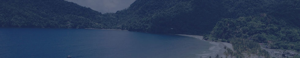 view-of-maracas-bay-from_edited_edited.jpg