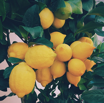 Lemons