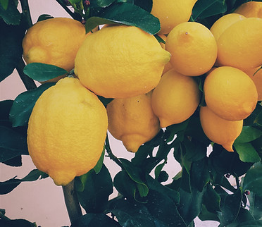 Lemons