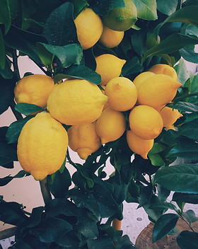 limones
