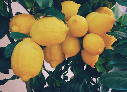 Lemons