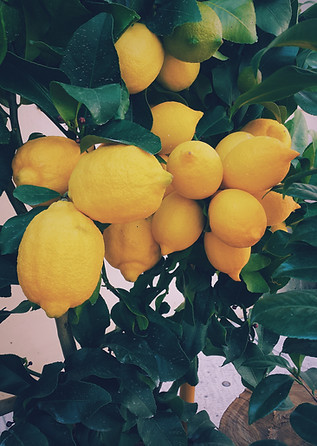 Lemons