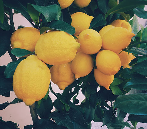 Lemons