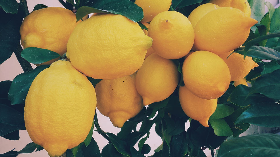 Lemons