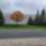 nice stripes 2023 2.jpg