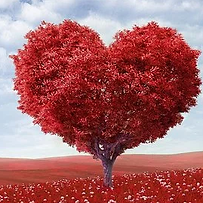 Feng Shui traditionnel o yang spécialiste consultant praticien expert Belgique France Europe consultation bien être environnement prospérité richesse argent santé amour couple sérénité intérieur décoration énergie énergétique maison succès vivre harmonie vitalité enseignement éléments agencement aménagement couleur zen bouddha espace architecte conseils expertise consultante Erika Bar yin yang