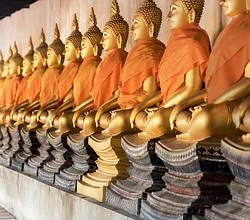 Feng Shui traditionnel o yang spécialiste consultant praticien expert Belgique France Europe consultation bien être environnement prospérité richesse argent santé amour couple sérénité intérieur décoration énergie énergétique maison succès vivre harmonie vitalité enseignement éléments agencement aménagement couleur zen bouddha espace architecte conseils expertise consultante Erika Bar