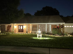 5507 Pitch Pine Greeting skeletons