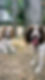 dog daycare new cross, dog daycare dulwich, dog daycare camberwell, dog daycare nunhead, dog daycare south london, dog daycare brixton, dog daycare peckham, doggy daycare